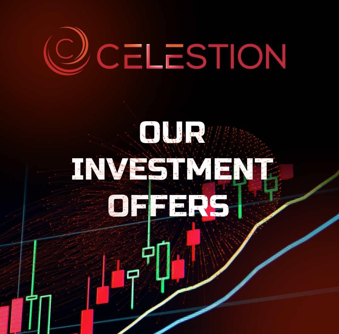 OUR INVESTMENT OFFERS